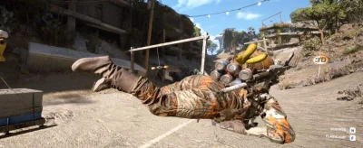 שליטה בתנועה: קפיצות שקופיות וביטולי אנימציה(להוסיף תמונות)